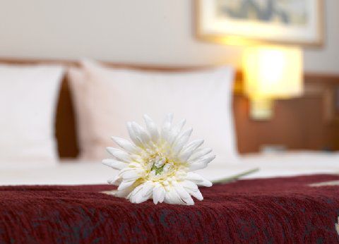 Leonardo Bonn Airport Hotel Cologne
